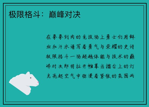 极限格斗：巅峰对决