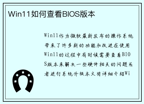 Win11如何查看BIOS版本
